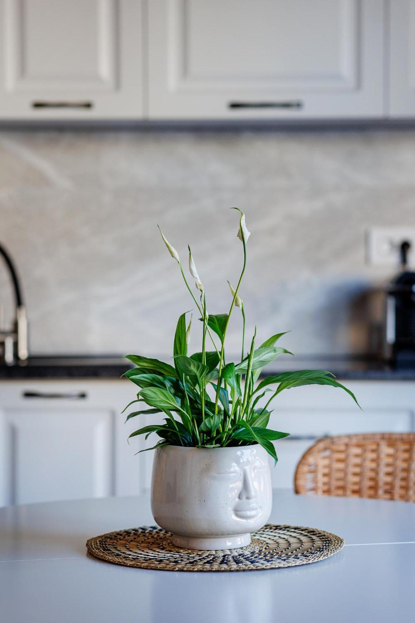 The Corner Luxe Apartment Bukares Bagian luar foto